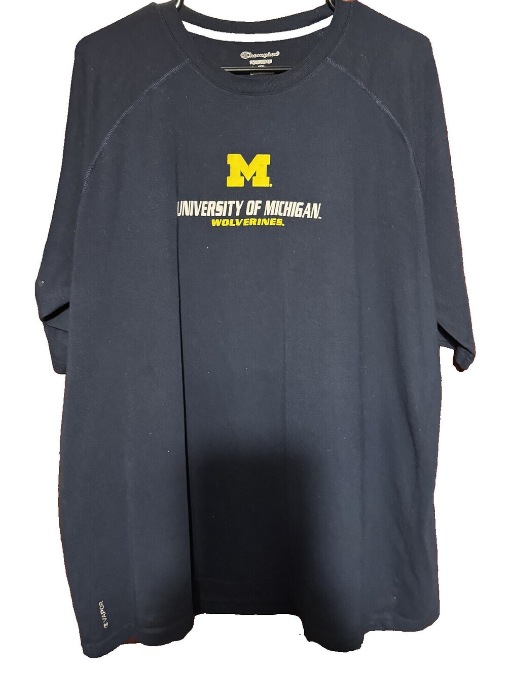 Michigan Wolverines Vintage Champion T-shirt Sz XXL Blue